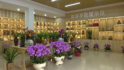 翁源县旅游集散中心:赏花 购买农特产品好去处